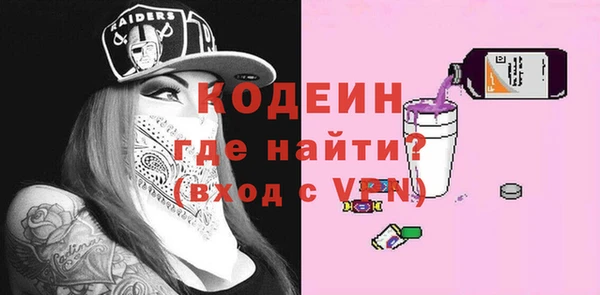 ГАЛЛЮЦИНОГЕННЫЕ ГРИБЫ Богданович