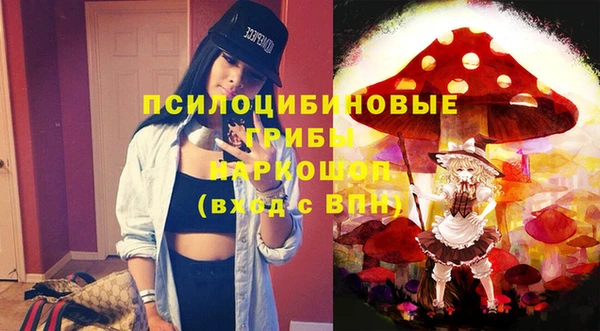 тгк Бородино