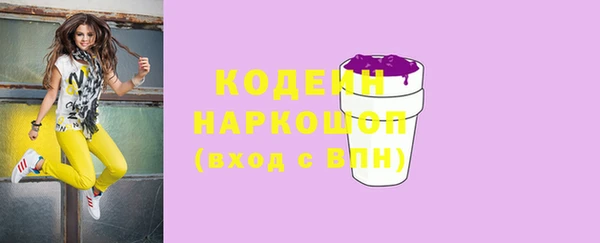 ГАЛЛЮЦИНОГЕННЫЕ ГРИБЫ Богданович