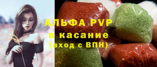 ГАЛЛЮЦИНОГЕННЫЕ ГРИБЫ Богданович